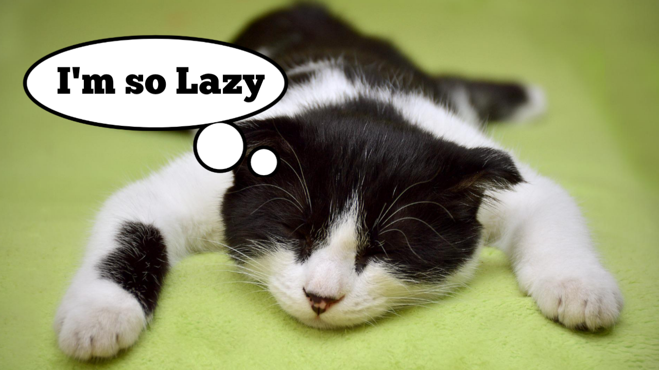 Kaget Lihat Harga BBM, Gas, Listrik Pada Naik Semua? Ini Solusinya!